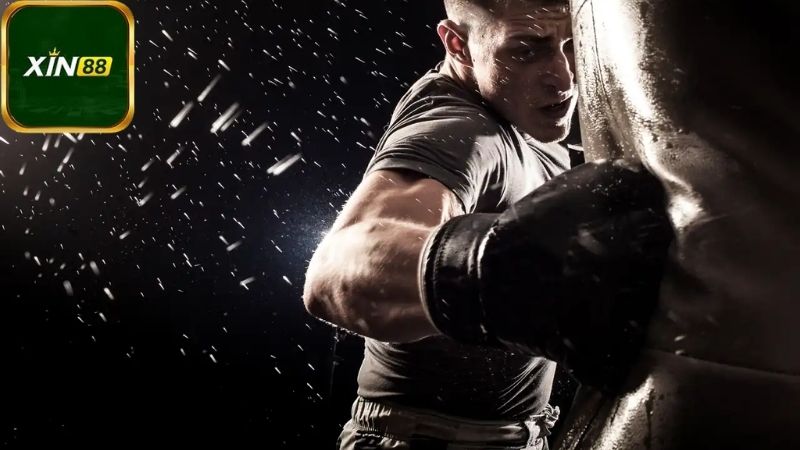 Tìm hiểu về cá cược boxing trên Xin88