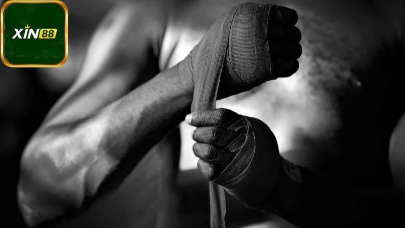 Hướng dẫn cách tham gia cá cược boxing trên Xin88