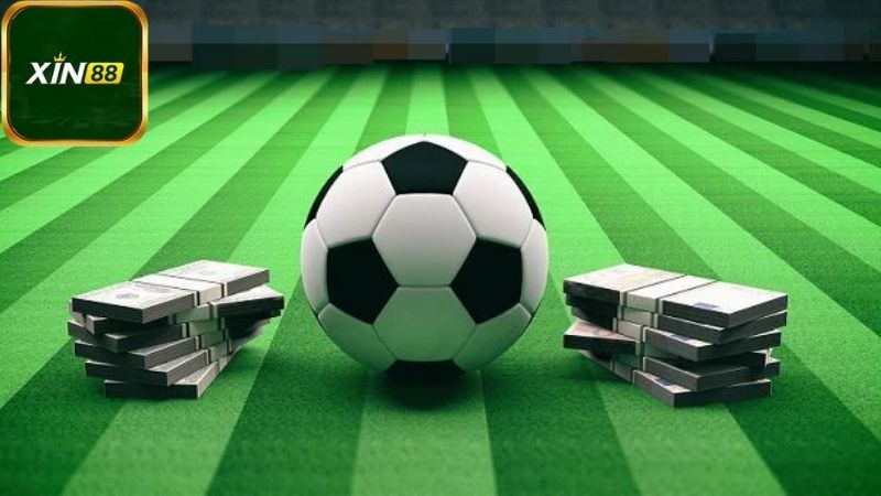 Giới thiệu về Cá cược thể thao Xin88