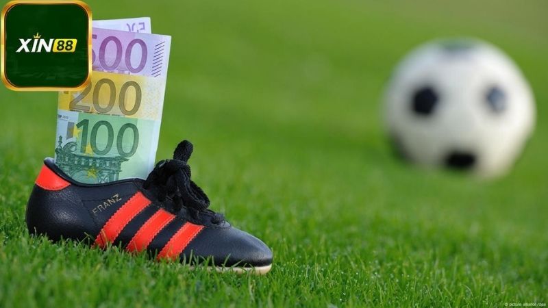 Cách tham gia cược bóng đá trực tiếp